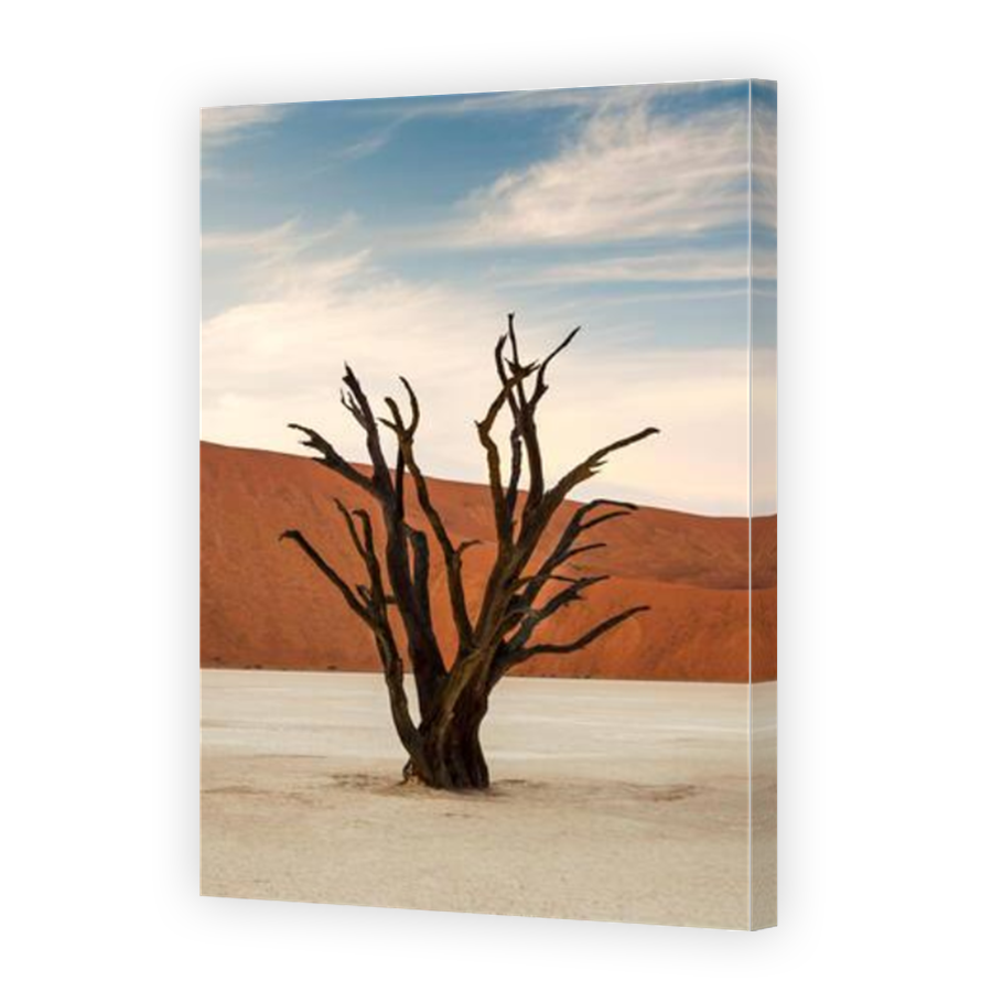 Thumbnail for Canvas - Mirror Image Canvas Wrap