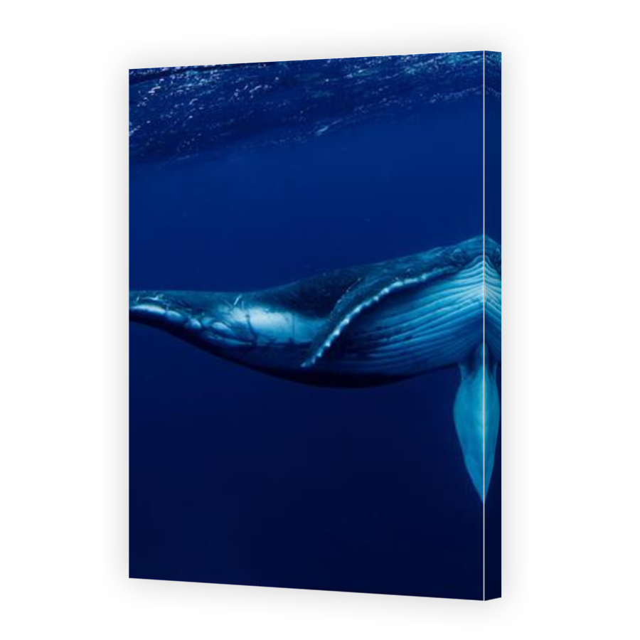 Thumbnail for Canvas - Mirror Image Canvas Wrap