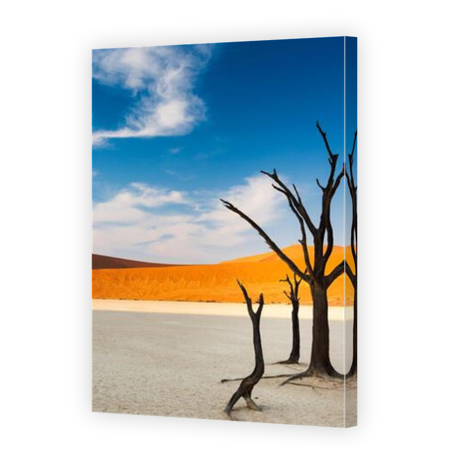 Thumbnail for Canvas - Mirror Image Canvas Wrap