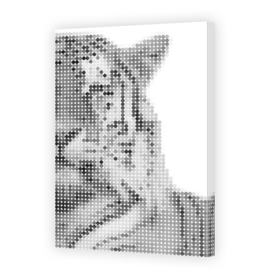 Thumbnail for Canvas - Mirror Image Canvas Wrap