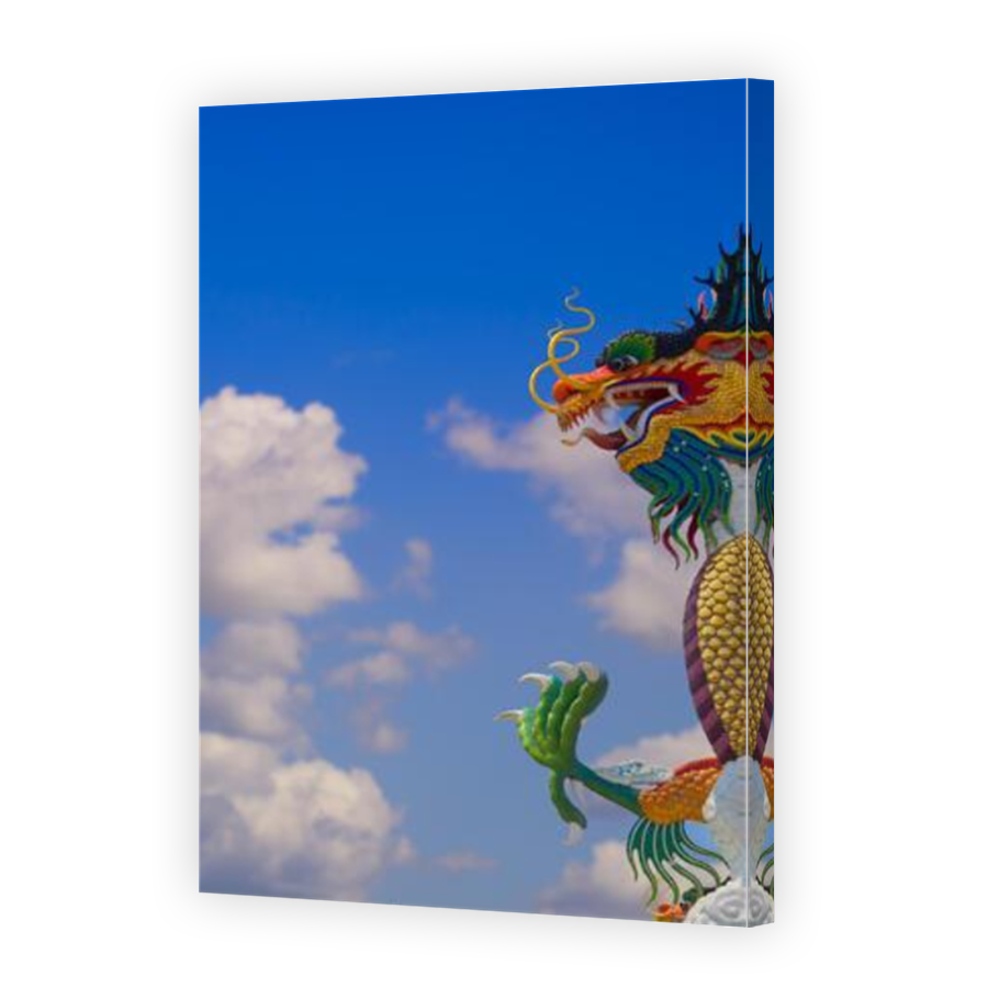 Thumbnail for Canvas - Mirror Image Canvas Wrap