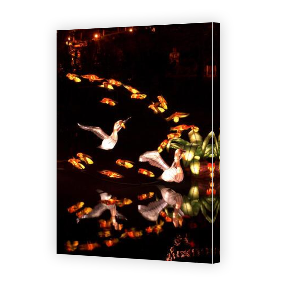 Thumbnail for Canvas - Mirror Image Canvas Wrap