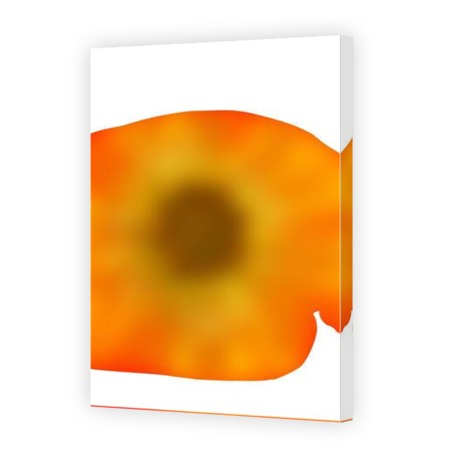 Thumbnail for Canvas - Mirror Image Canvas Wrap