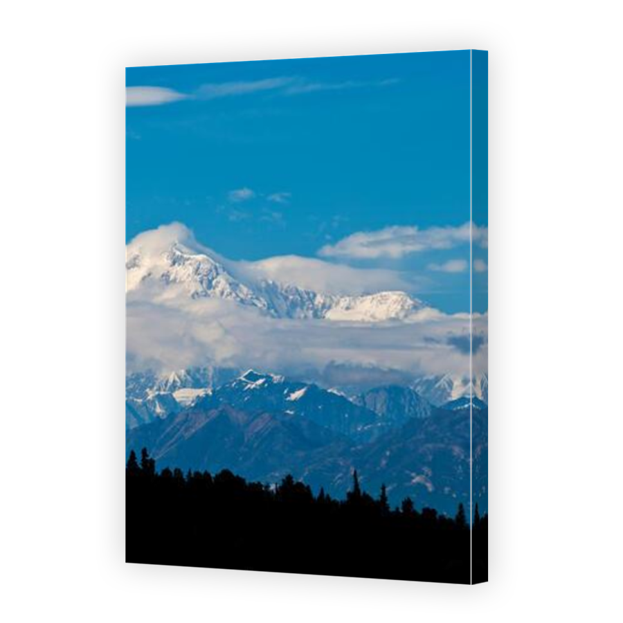 Thumbnail for Canvas - Mirror Image Canvas Wrap