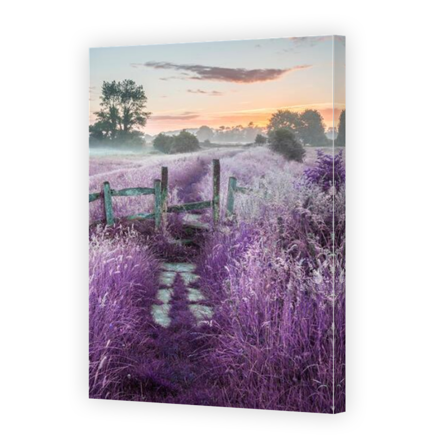 Thumbnail for Canvas - Mirror Image Canvas Wrap