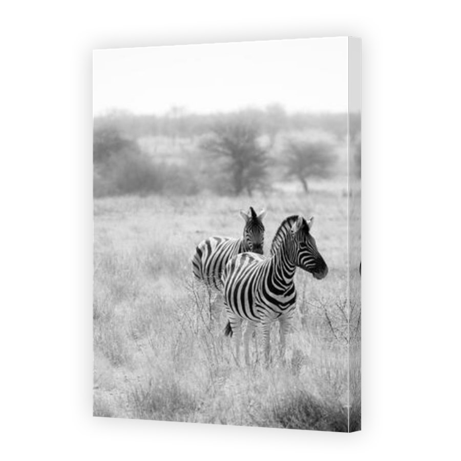 Thumbnail for Canvas - Mirror Image Canvas Wrap