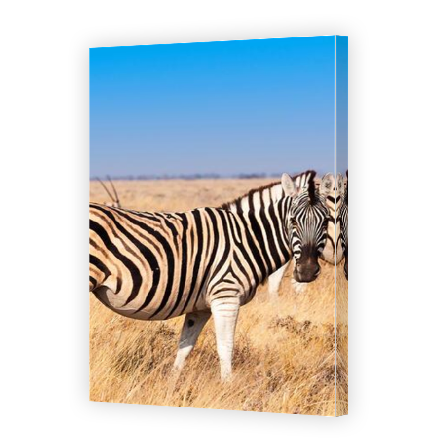 Thumbnail for Canvas - Mirror Image Canvas Wrap