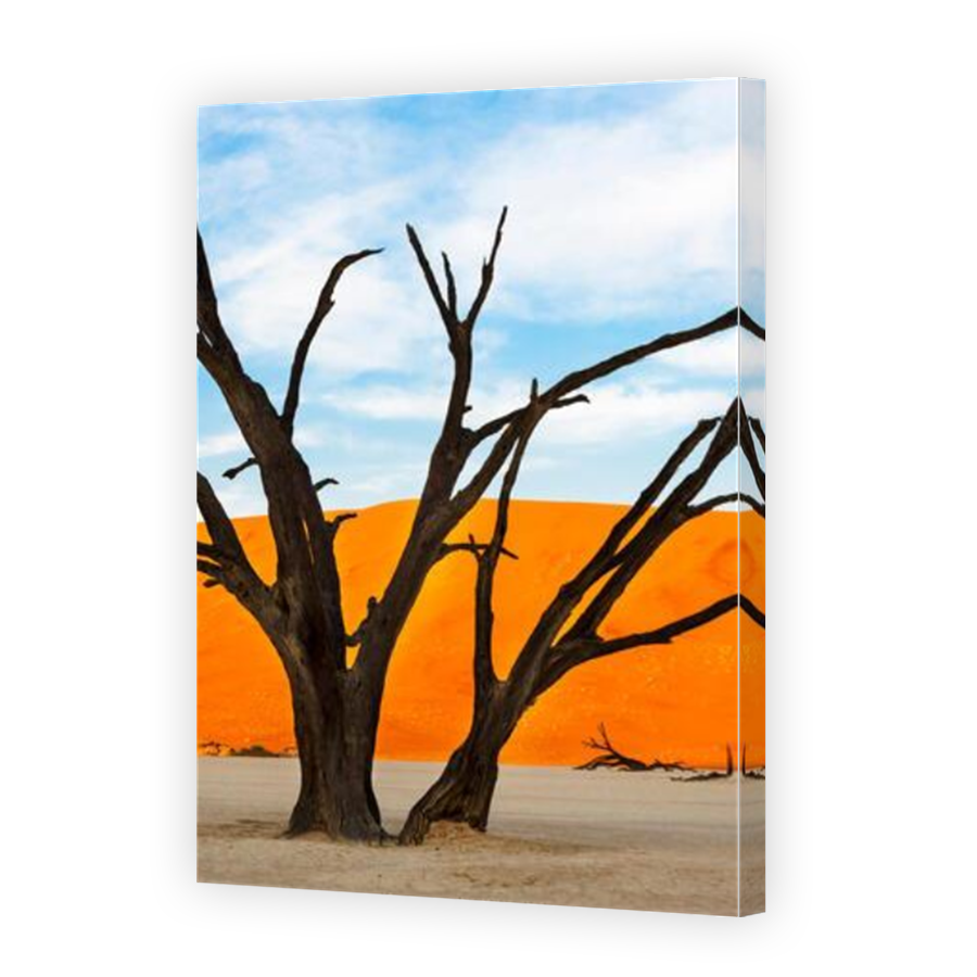 Thumbnail for Canvas - Mirror Image Canvas Wrap