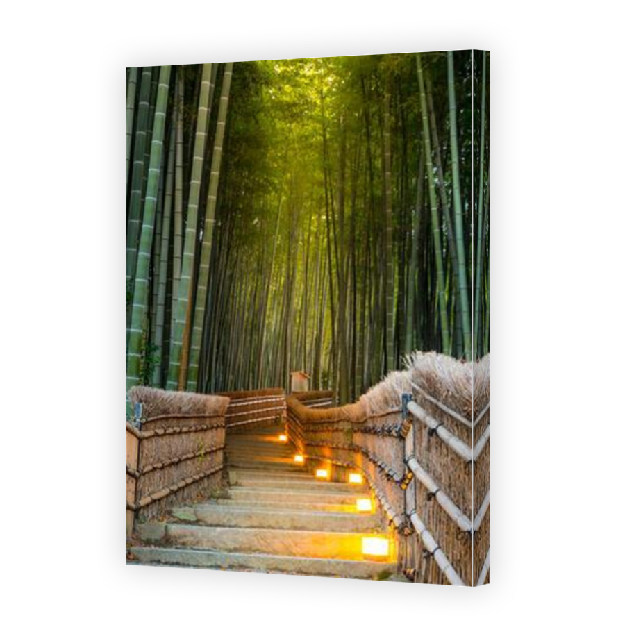 Thumbnail for Canvas - Mirror Image Canvas Wrap