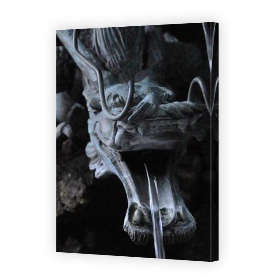 Thumbnail for Canvas - Mirror Image Canvas Wrap