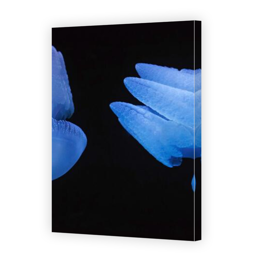Thumbnail for Canvas - Mirror Image Canvas Wrap