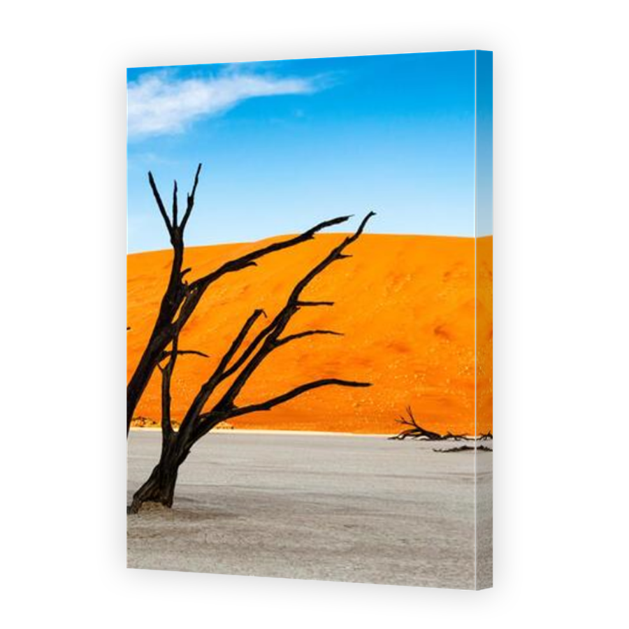 Thumbnail for Canvas - Mirror Image Canvas Wrap