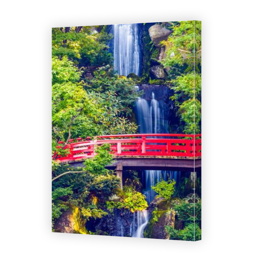 Thumbnail for Canvas - Mirror Image Canvas Wrap