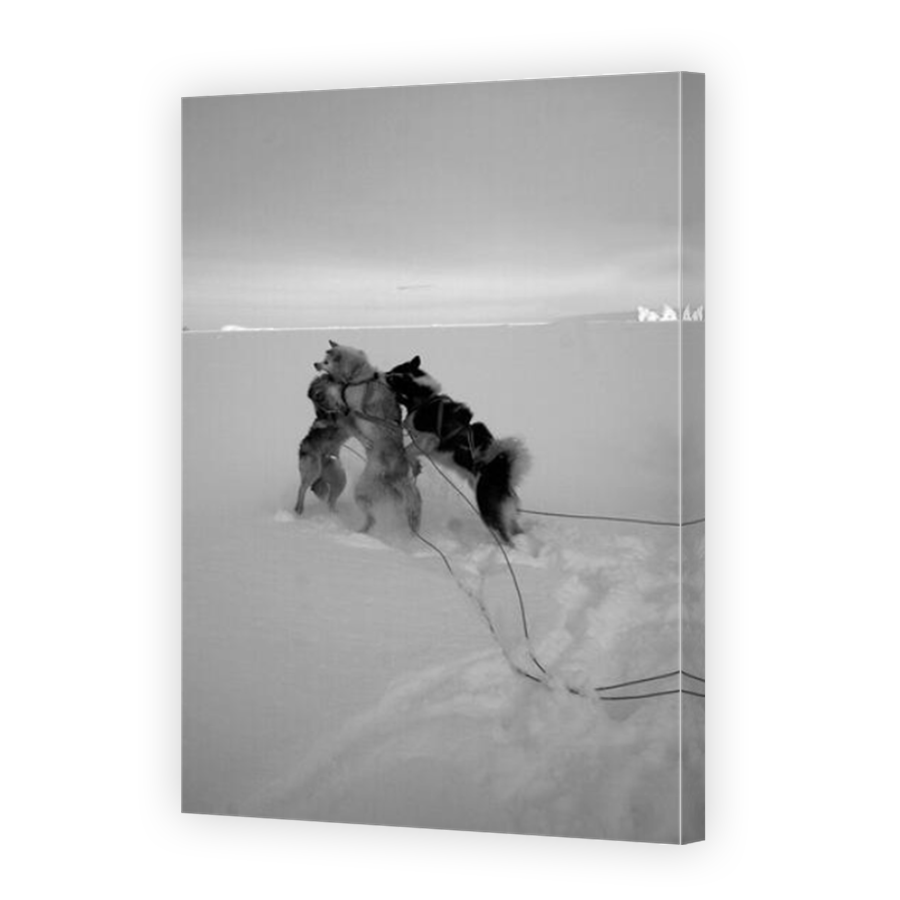 Thumbnail for Canvas - Mirror Image Canvas Wrap