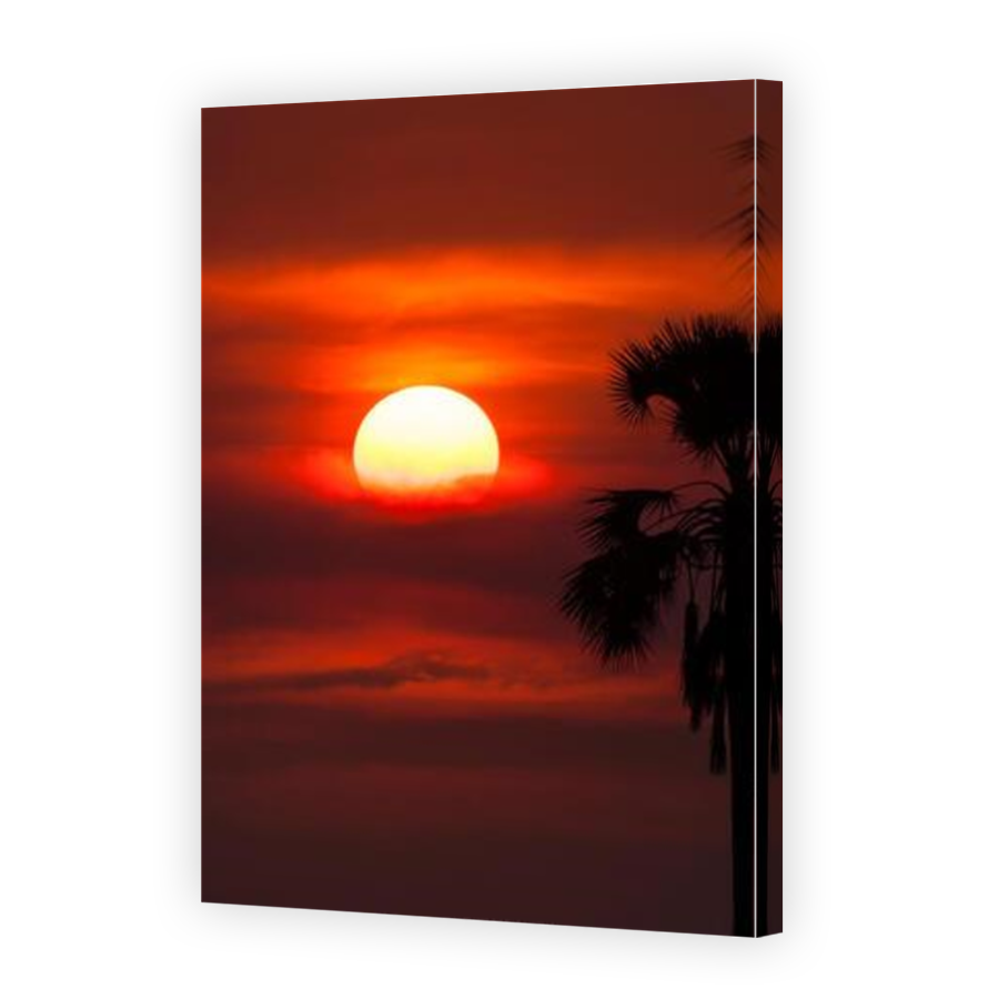 Thumbnail for Canvas - Mirror Image Canvas Wrap