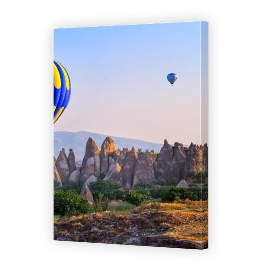 Thumbnail for Canvas - Mirror Image Canvas Wrap