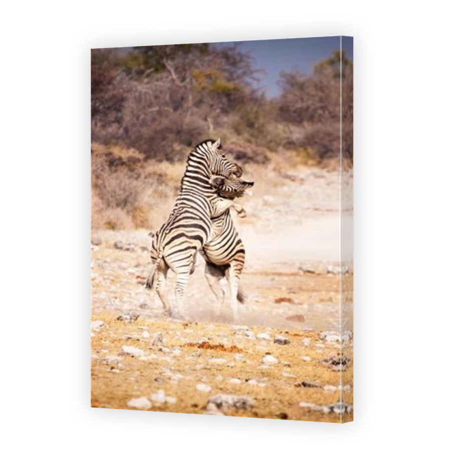 Thumbnail for Canvas - Mirror Image Canvas Wrap