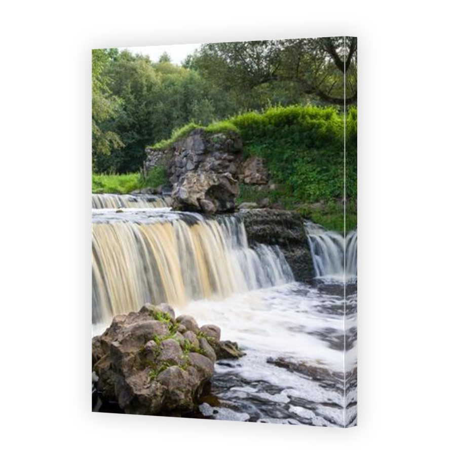 Thumbnail for Canvas - Mirror Image Canvas Wrap