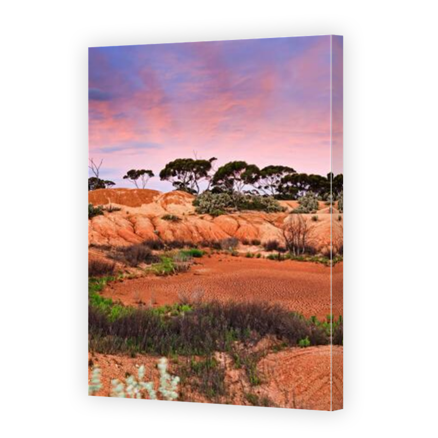 Thumbnail for Canvas - Mirror Image Canvas Wrap