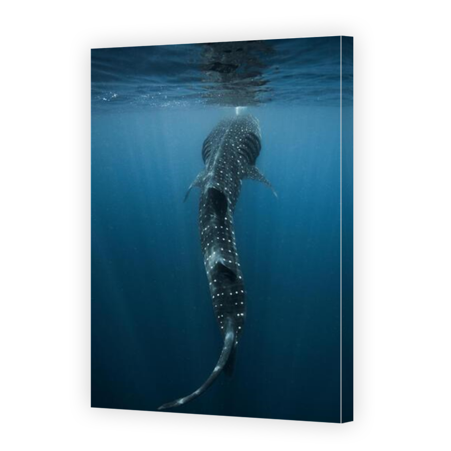 Thumbnail for Canvas - Mirror Image Canvas Wrap