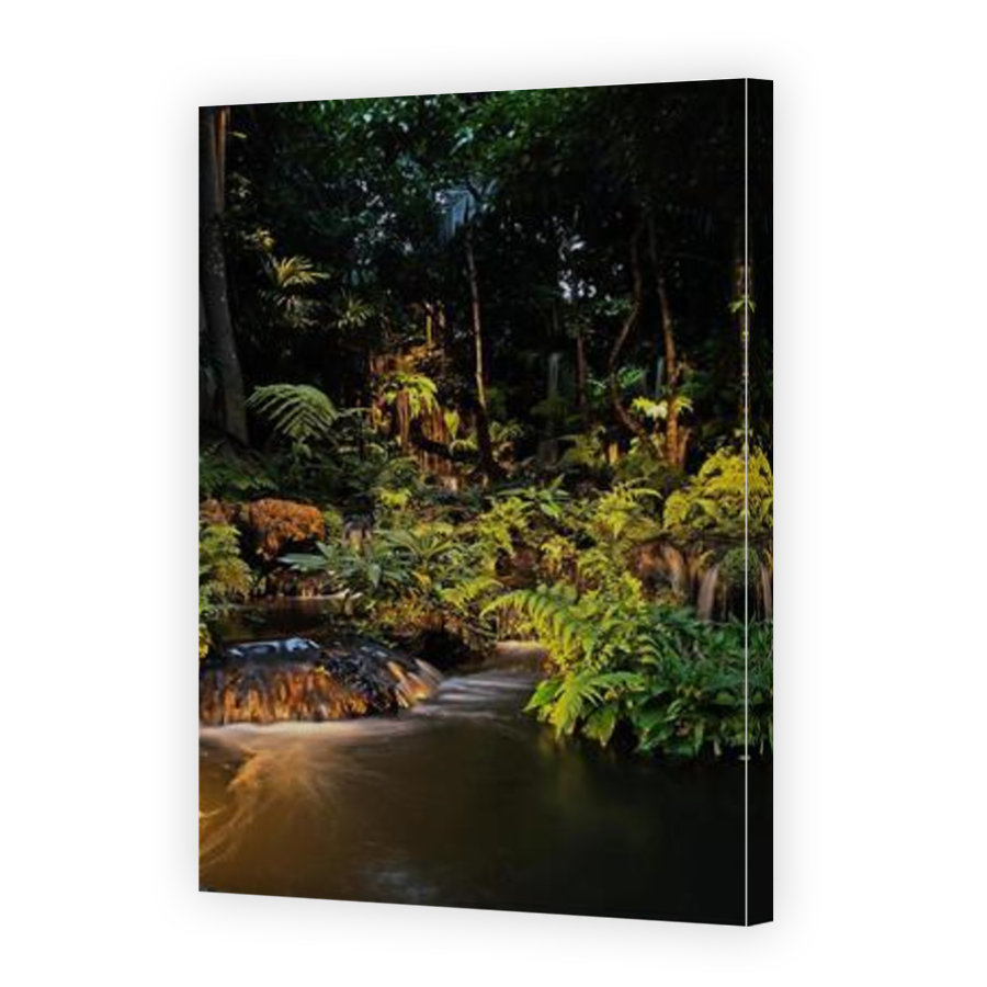 Thumbnail for Canvas - Mirror Image Canvas Wrap