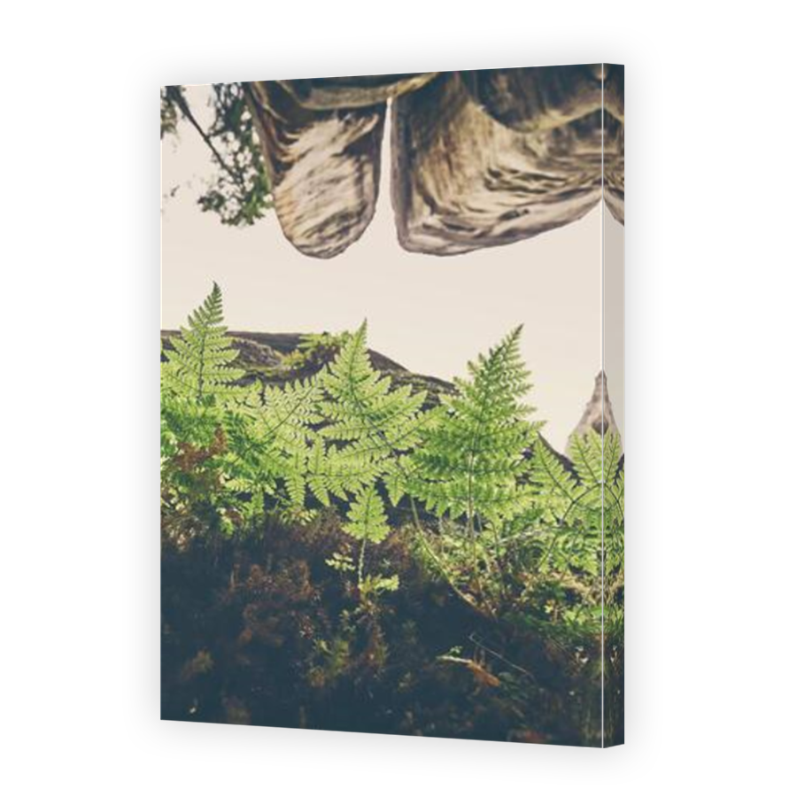 Thumbnail for Canvas - Mirror Image Canvas Wrap