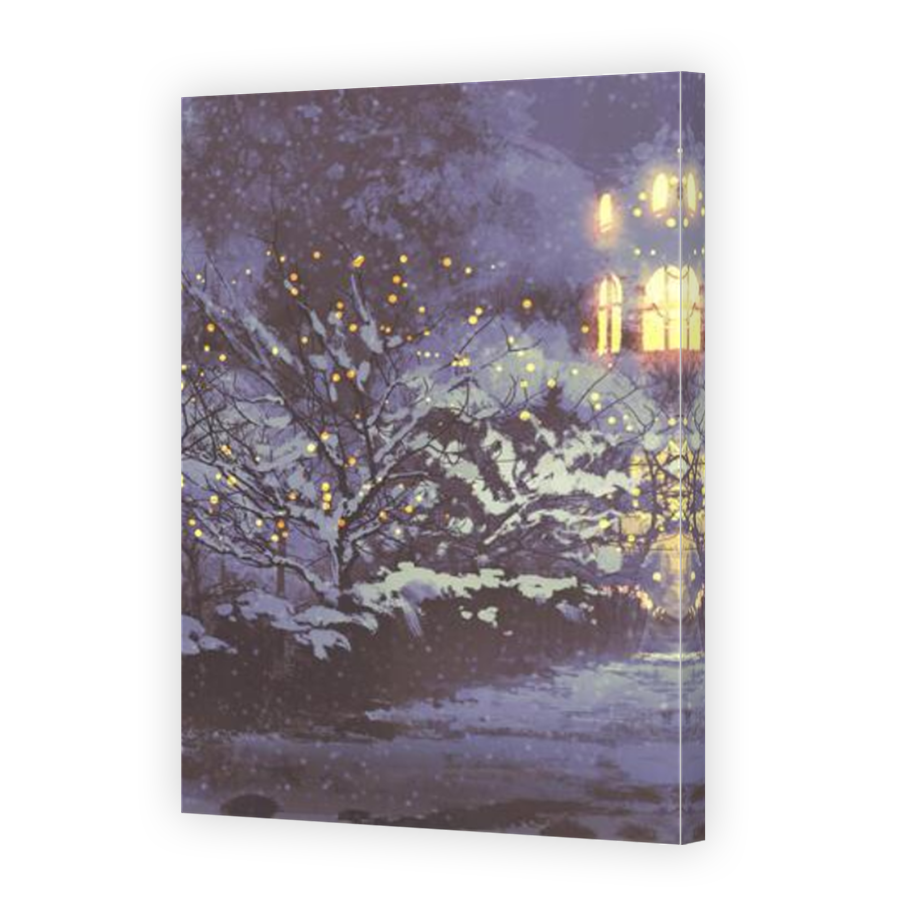 Thumbnail for Canvas - Mirror Image Canvas Wrap