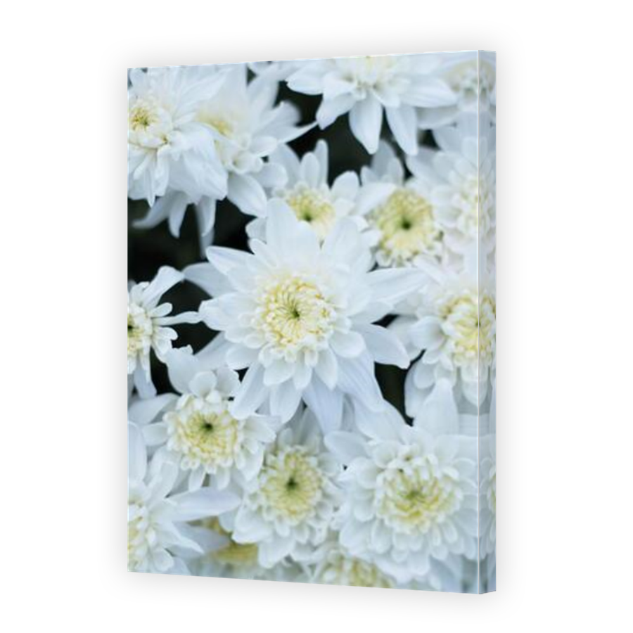 Thumbnail for Canvas - Mirror Image Canvas Wrap