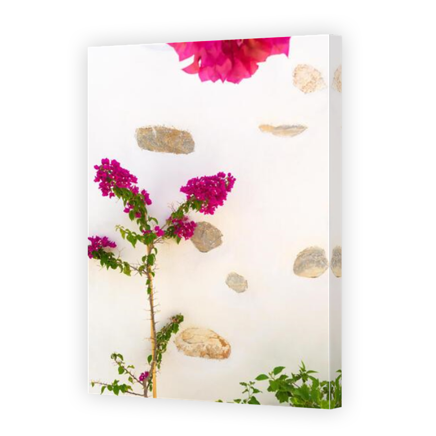 Thumbnail for Canvas - Mirror Image Canvas Wrap