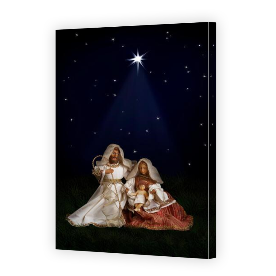 Thumbnail for Canvas - Mirror Image Canvas Wrap