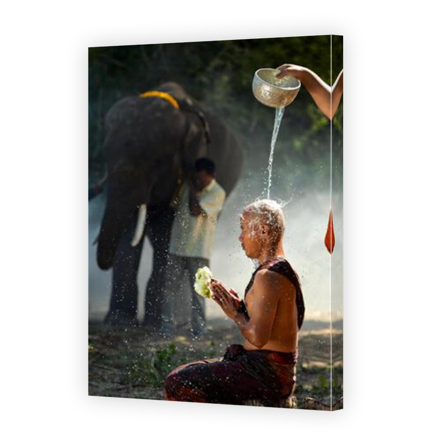 Thumbnail for Canvas - Mirror Image Canvas Wrap