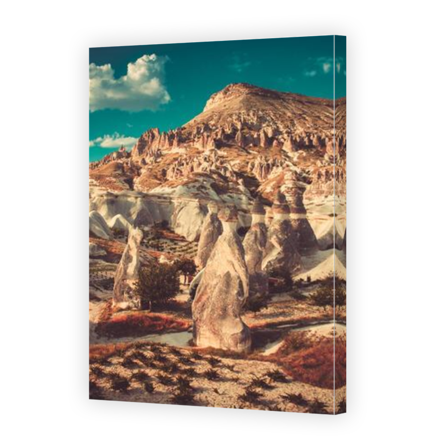Thumbnail for Canvas - Mirror Image Canvas Wrap