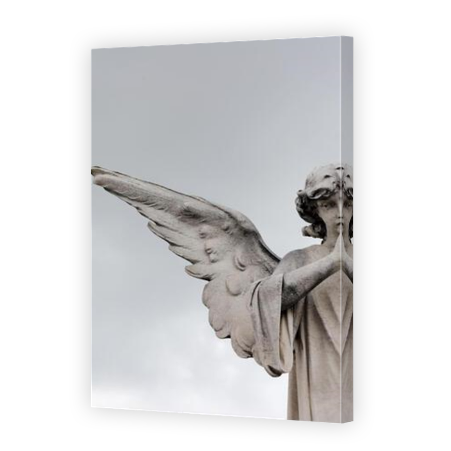 Thumbnail for Canvas - Mirror Image Canvas Wrap