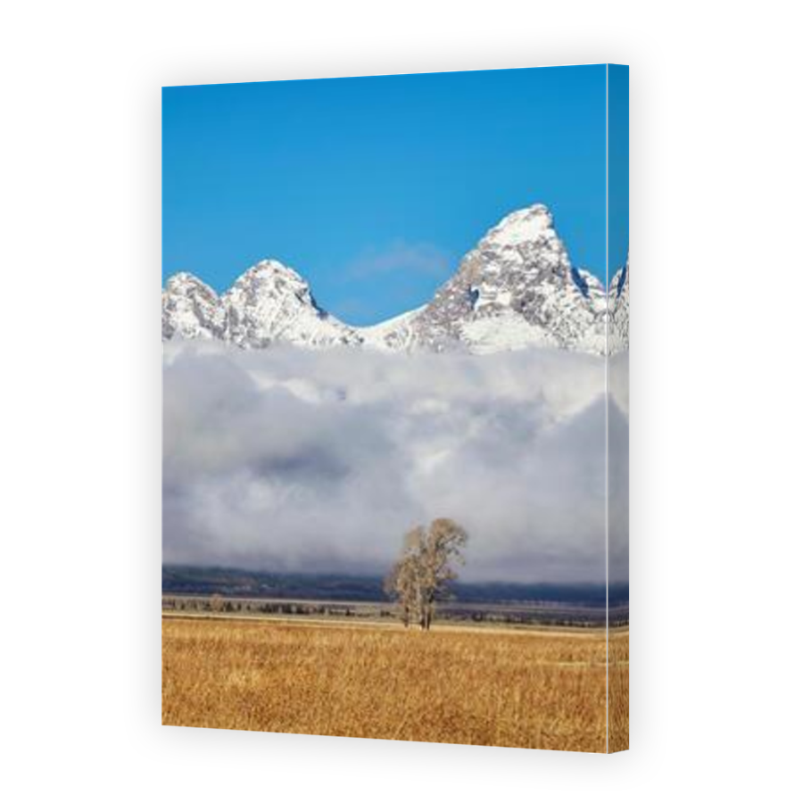 Thumbnail for Canvas - Mirror Image Canvas Wrap