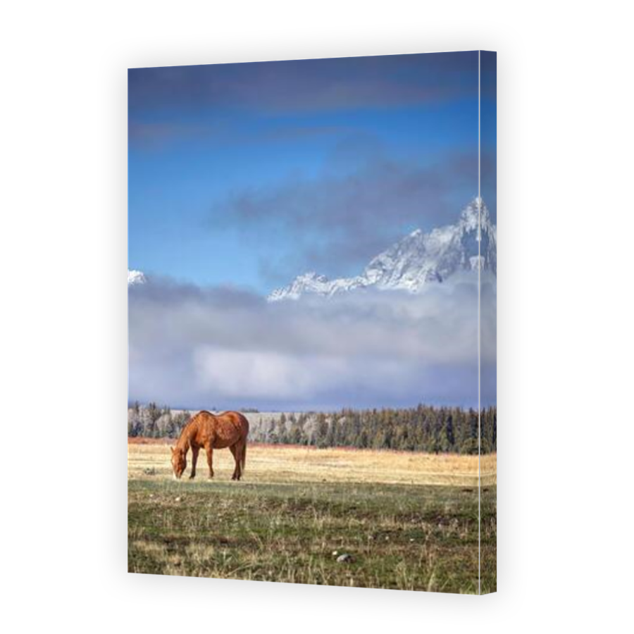 Thumbnail for Canvas - Mirror Image Canvas Wrap
