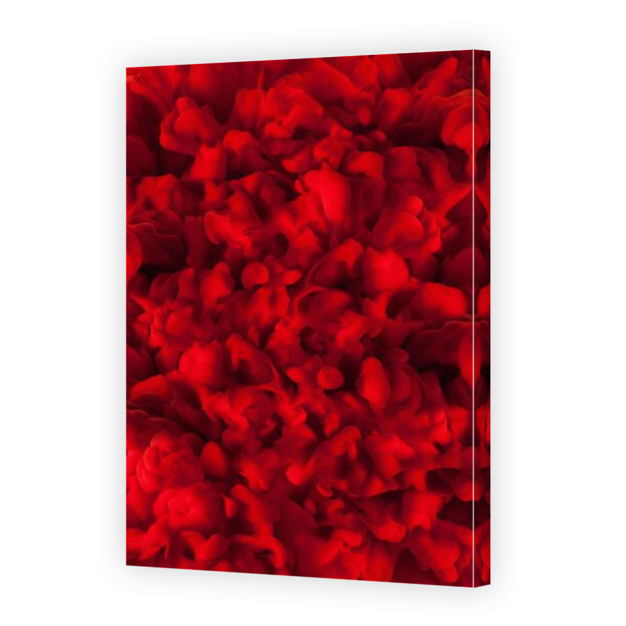 Thumbnail for Canvas - Mirror Image Canvas Wrap