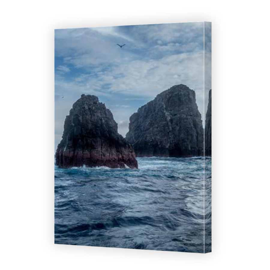 Thumbnail for Canvas - Mirror Image Canvas Wrap