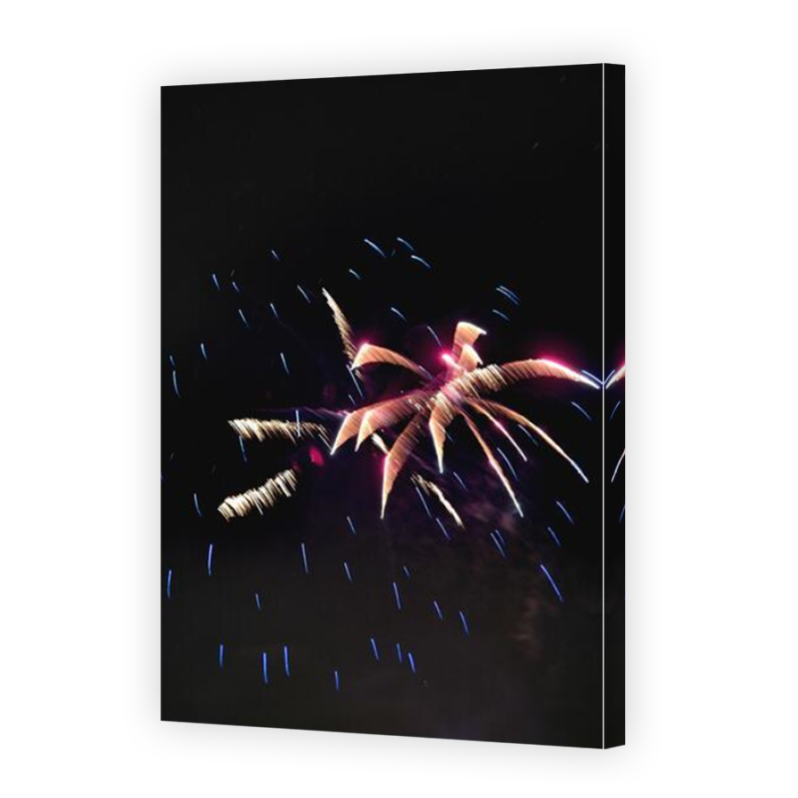 Thumbnail for Canvas - Mirror Image Canvas Wrap