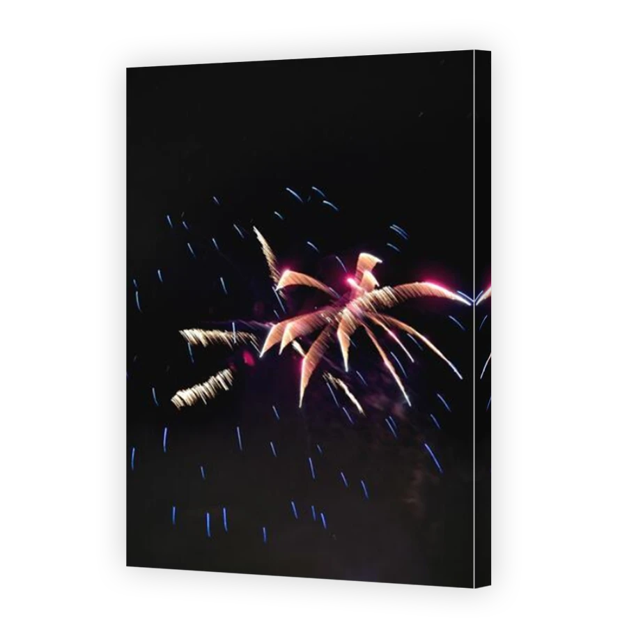 Thumbnail for Canvas - Mirror Image Canvas Wrap