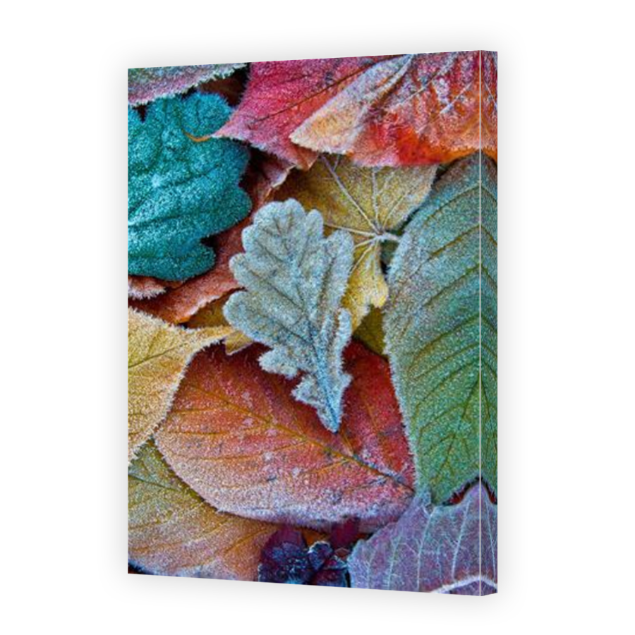 Thumbnail for Canvas - Mirror Image Canvas Wrap