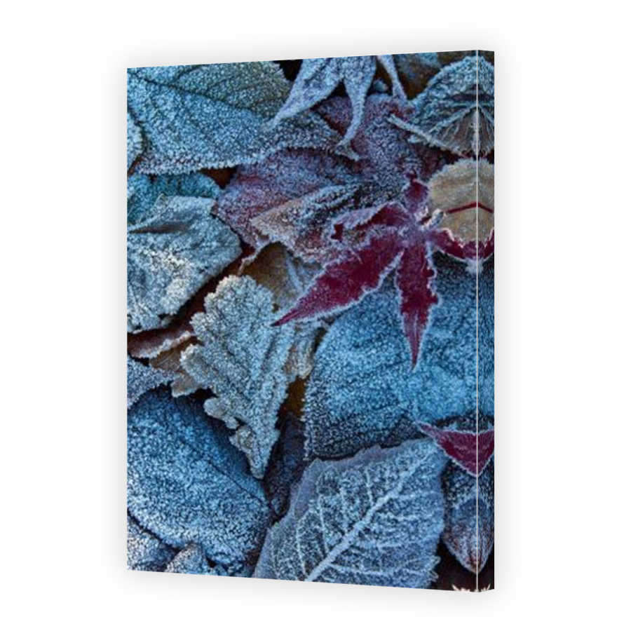 Thumbnail for Canvas - Mirror Image Canvas Wrap