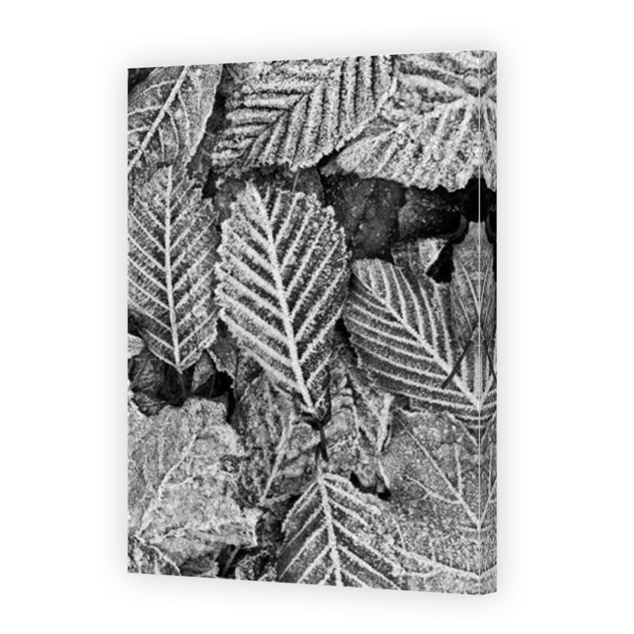 Thumbnail for Canvas - Mirror Image Canvas Wrap