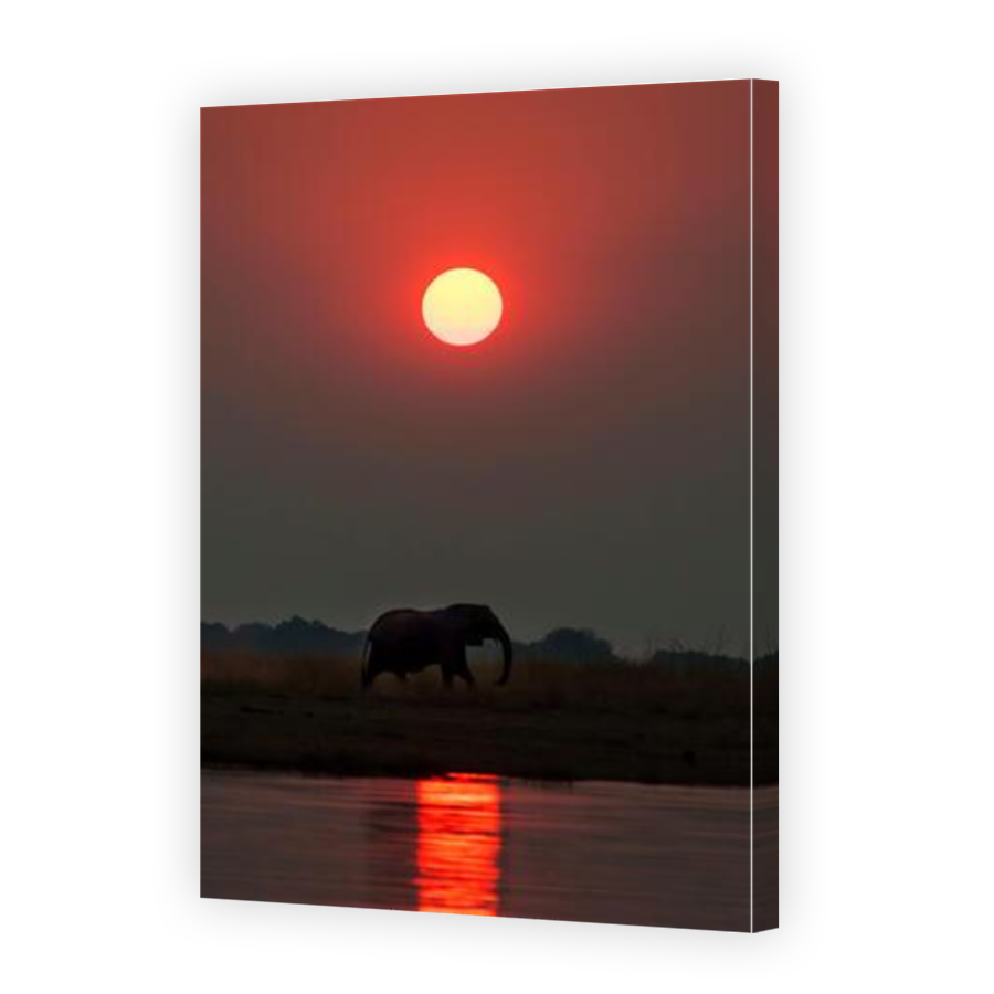 Thumbnail for Canvas - Mirror Image Canvas Wrap