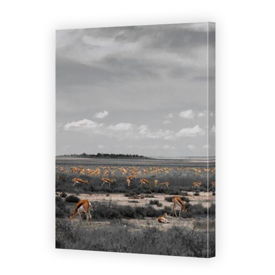 Thumbnail for Canvas - Mirror Image Canvas Wrap