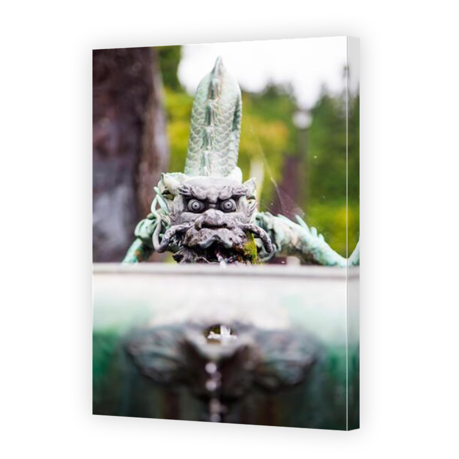 Thumbnail for Canvas - Mirror Image Canvas Wrap