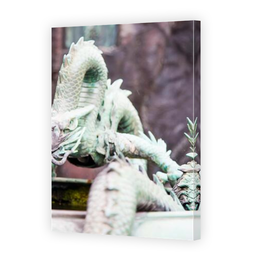 Thumbnail for Canvas - Mirror Image Canvas Wrap