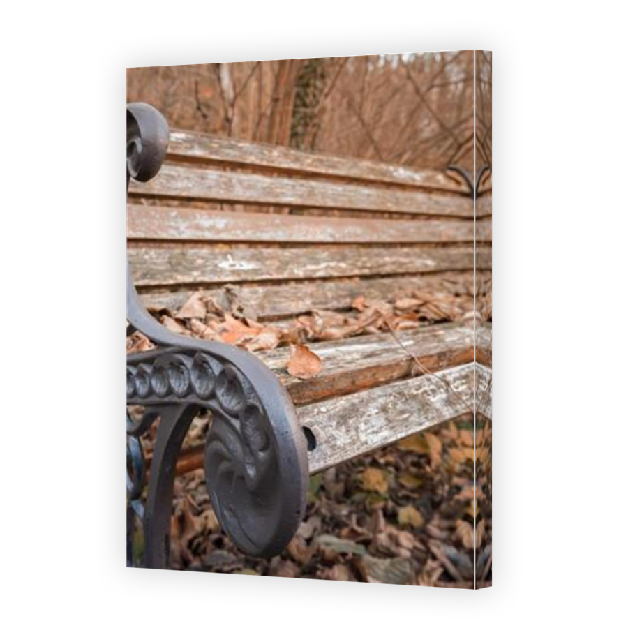Thumbnail for Canvas - Mirror Image Canvas Wrap