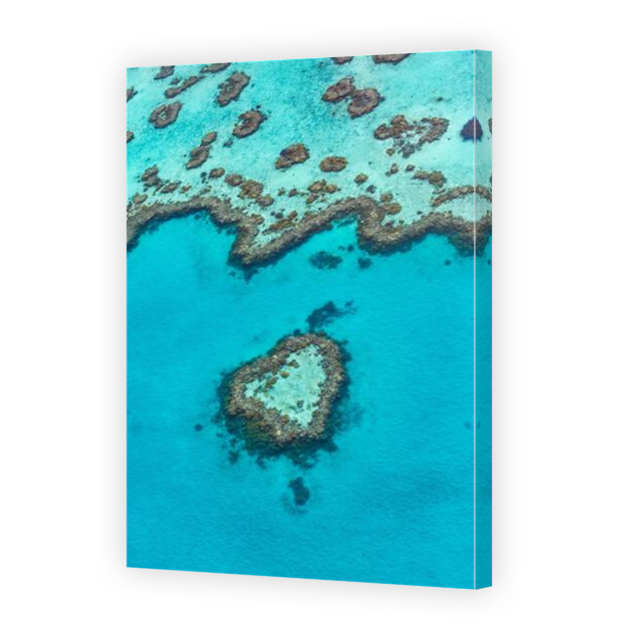 Thumbnail for Canvas - Mirror Image Canvas Wrap