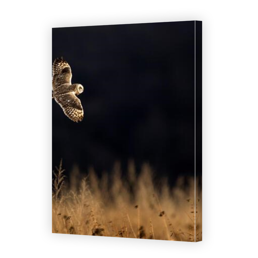 Thumbnail for Canvas - Mirror Image Canvas Wrap