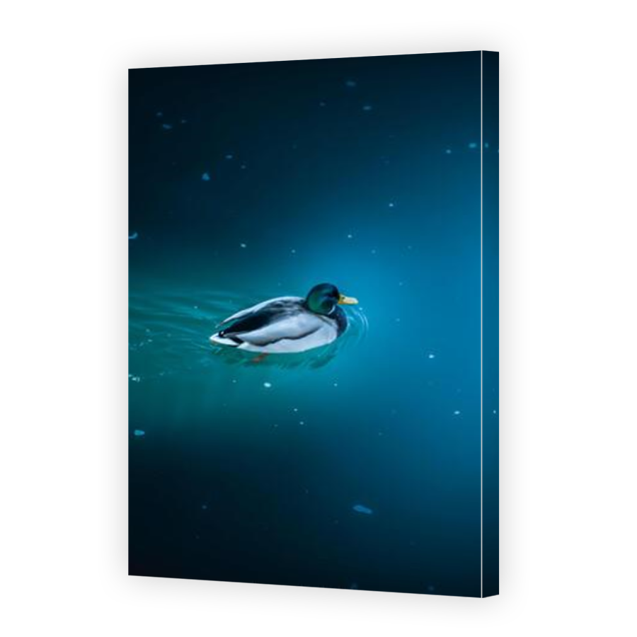 Thumbnail for Canvas - Mirror Image Canvas Wrap